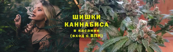 СК Строитель