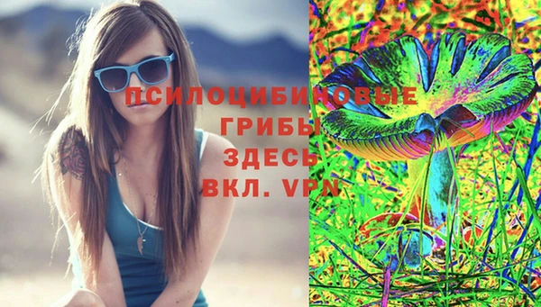 молекула духа Корсаков