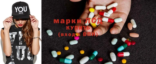 стаф Магас