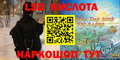 дмт Кандалакша