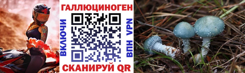 Галлюциногенные грибы Magic Shrooms Сызрань