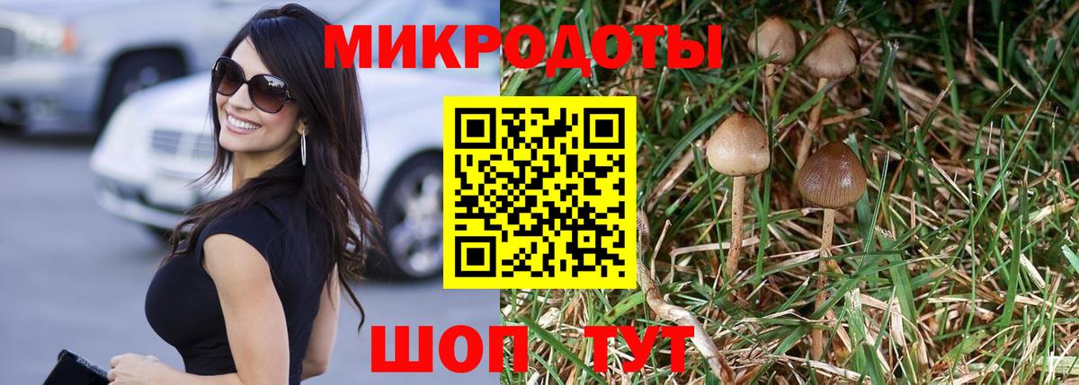 Галлюциногенные грибы мицелий  Вход с VPN  Сызрань 